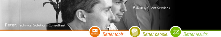 Project Based IT Services